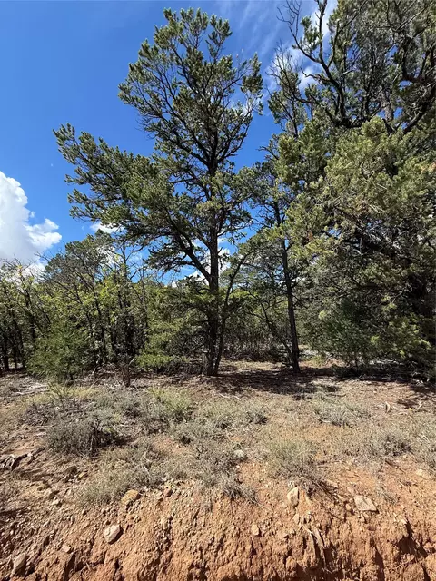 lot180 Lot 181 Lot 223 San Pedro Ests #3, Regina, NM 87046