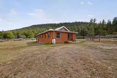 1119 Nm - 111, Vallecitos, NM 87581