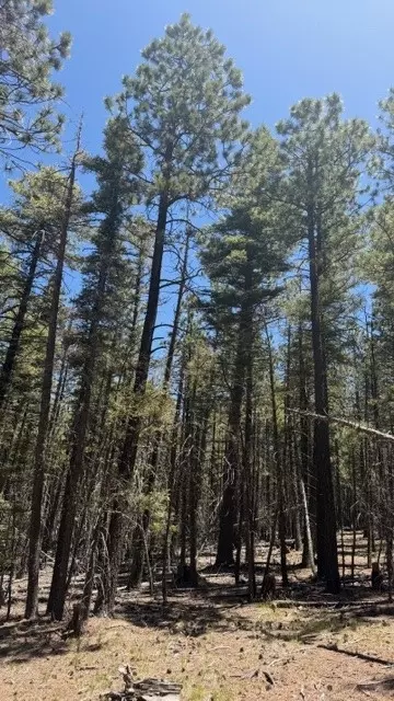 43 9 Acres Sawyer Mesa Rd, Pecos, NM 87552
