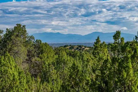 30 Blue Agave, Cerrillos, NM 87010