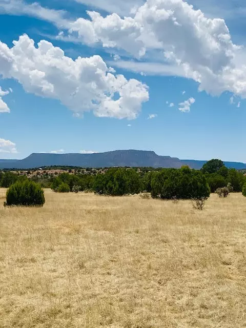 16 03 Acres County Road B55, Ribera, NM 87565