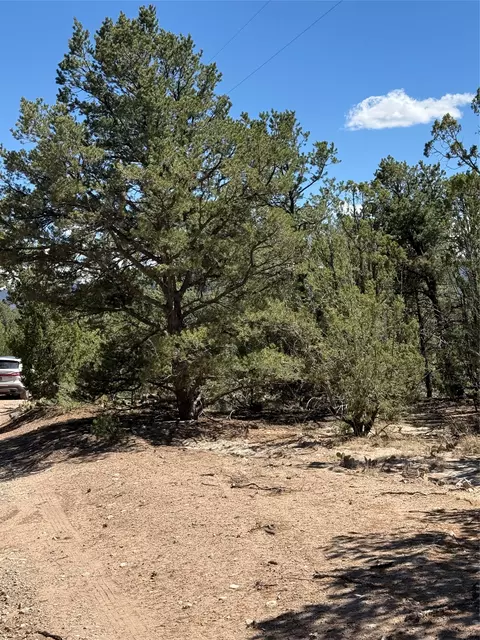 174 Hidden Valley Ranch Rd, San Ysidro, NM 87538