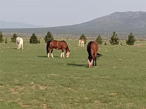 32 County Road 28, Stanley, NM 87056