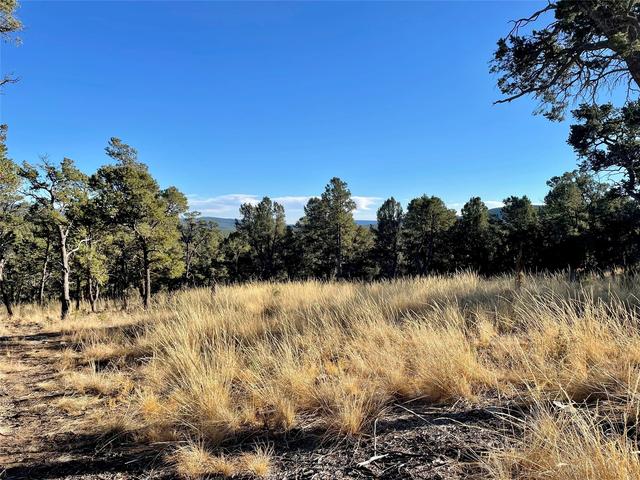 00 Warbler Way, Pecos, NM 87552