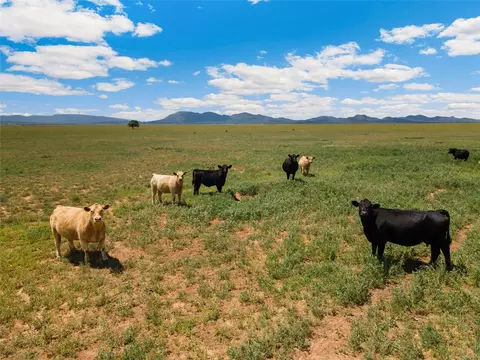 1021 Dinkle Rd, Stanley, NM 87056