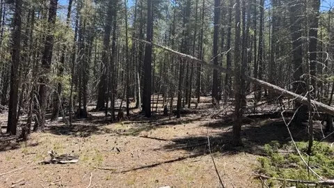 tbd Sawyer Mesa Rd, Pecos, NM 87552