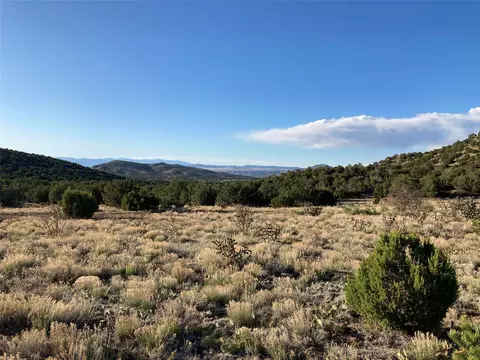 100 Ortiz Mtn, Cerrillos, NM 87010