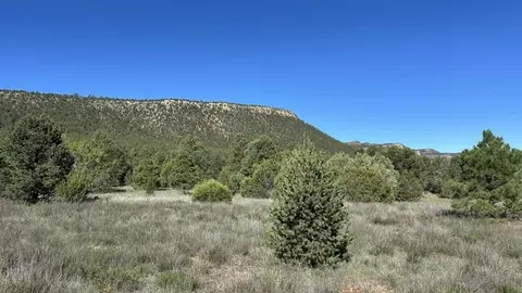 6 Acres Off Of Nm 34, Rowe, NM 87562