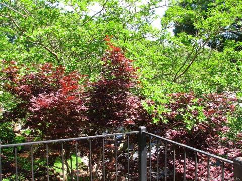 1184 Jamestown Rd #21, Williamsburg, VA 23185 photo 16