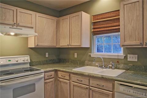 3917 Pine Bluff Ct, Williamsburg, VA 23188 photo 8