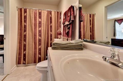 303 Cove Ct, Lanexa, VA 23089 photo 20