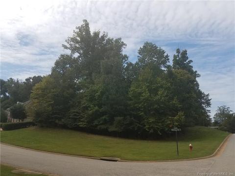 113 Robert Cole Ct, Williamsburg, VA 23185 photo 1