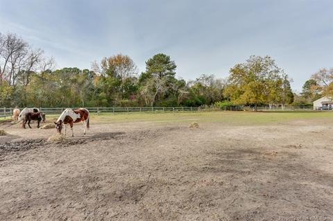 9557 Robins Neck Rd, Gloucester, VA 23061 photo 26