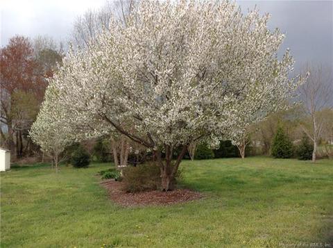 4950 Chestnut Fork Rd, Gloucester, VA 23061 photo 37