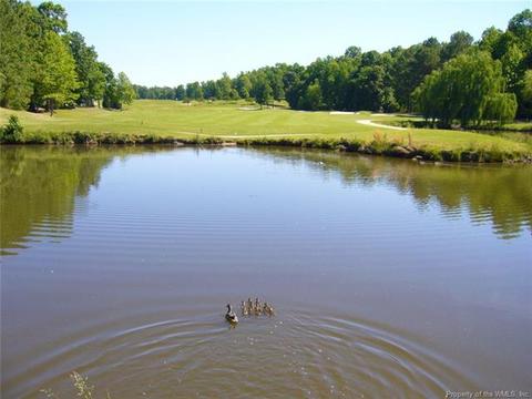 104 Eagle, Williamsburg, VA 23188 photo 26