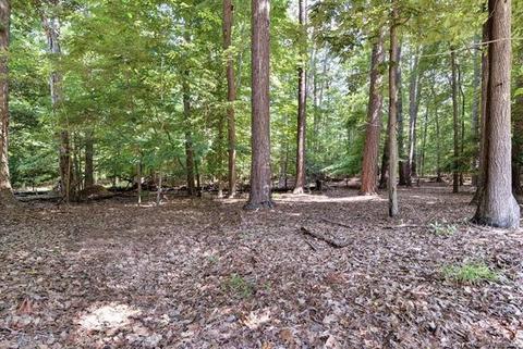 133 Berkeley Ln, Williamsburg, VA 23185 photo 27