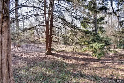 710 Goodwin St, Williamsburg, VA 23185 photo 34