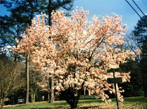 272 E Queens Dr, Williamsburg, VA 23185 photo 39