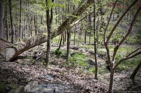 145 Jerdone Rd, Williamsburg, VA 23185 photo 42