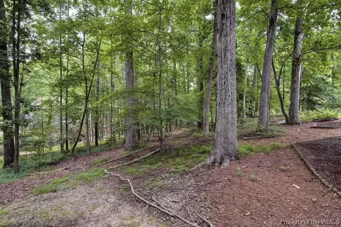 160 Devon Rd, Williamsburg, VA 23188 photo 42