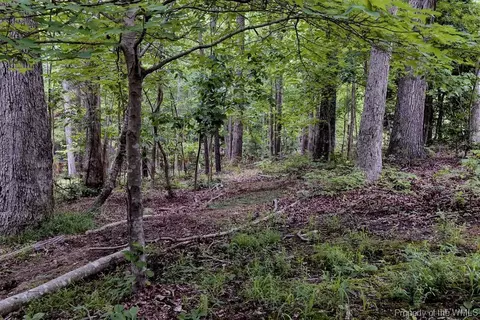 160 Devon Rd, Williamsburg, VA 23188 photo 43