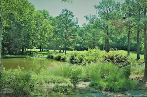 113 Landsdown, Williamsburg, VA 23188 photo 29