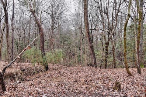 5596 Riverview Rd, Williamsburg, VA 23188 photo 18