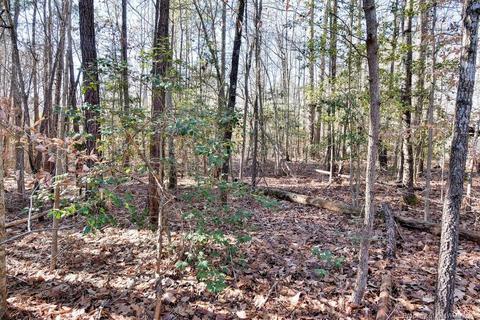 10501 Alpine Rd, Providence Forge, VA 23140 photo 22