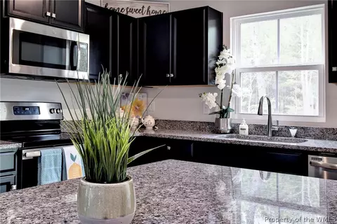 107 Peppergrass Ct, Williamsburg, VA 23188 photo 17