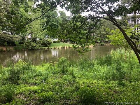 2916 Thomas Smith Ln, Williamsburg, VA 23185 photo 34
