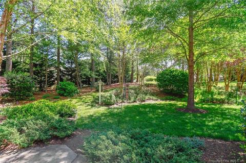 103 Berrow, Williamsburg, VA 23188 photo 34