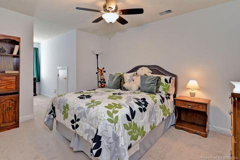 229 Zelkova Rd, Williamsburg, VA 23185 photo 24