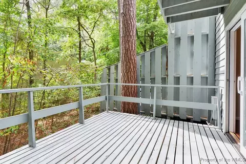 10 E Autumn, Williamsburg, VA 23188 photo 29