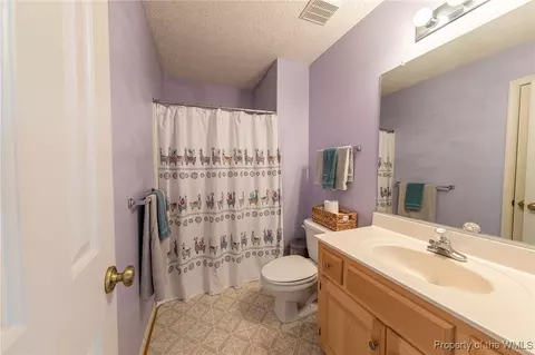 4619 Sir Gilbert Loop, Williamsburg, VA 23185 photo 17