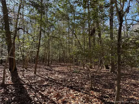 8333 Croaker Rd, Williamsburg, VA 23188