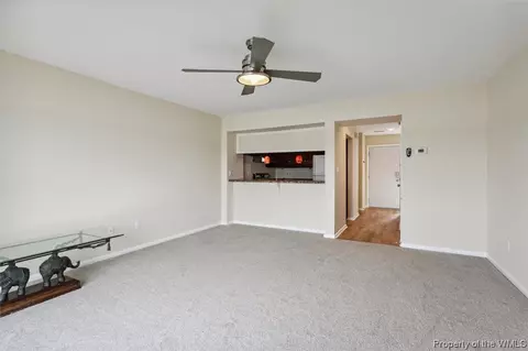 204 Mill Point Dr, Hampton, VA 23669 photo 16