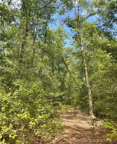 Lot 12 Dragon Run Lane, Little Plymouth, VA 23091