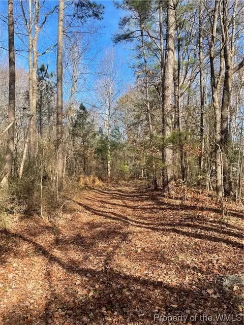 Lot 8 Wise Lane, Mattaponi, VA 23110