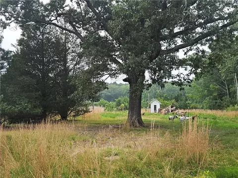 3066 Bethel Beach Rd, Onemo, VA 23130