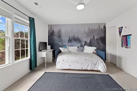 Bedroom - 10420 Pine Warbler Dr, Providence Forge, VA 23140 photo 5 of 9
