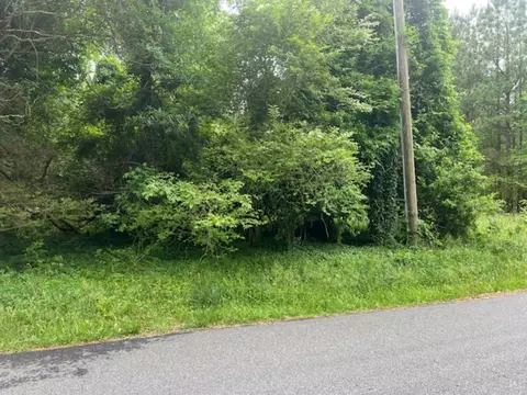 1 0 Acre Mansion Ave, Claremont, VA 23899
