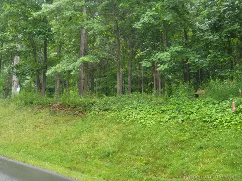 lot50 Donald Ross Trl, Hot Springs, VA 24445