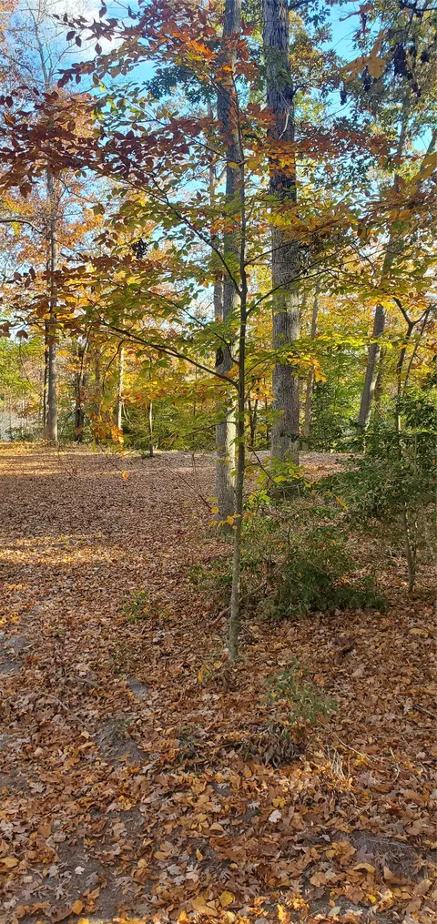 0 Cliffe Ct, Lanexa, VA 23089 photo 5