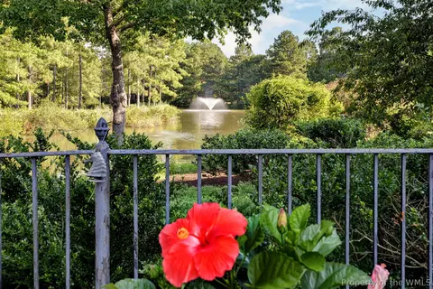 Other - 2900 Thomas Smith Ln, Williamsburg, VA 23185 photo 13 of 20
