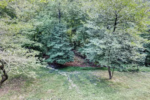 Exterior - 151 Rolfe Rd, Williamsburg, VA 23185 photo 9 of 14