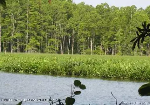 4401 Landfall Dr, Williamsburg, VA 23185 photo 3