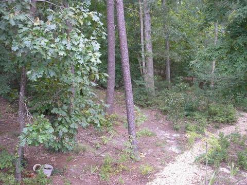 116 Crail, Williamsburg, VA 23188 photo 28