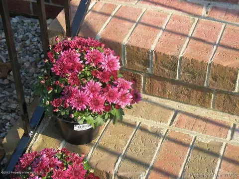 236 Patricks Xing, Williamsburg, VA 23185 photo 55