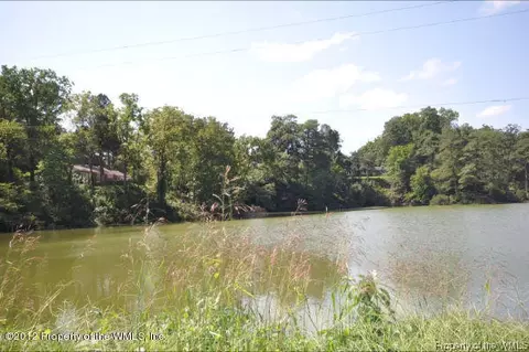 233 E Queens Dr, Williamsburg, VA 23185 photo 24