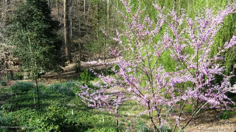 128 Ridings Cv, Williamsburg, VA 23185 photo 32